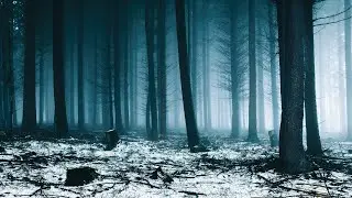 Spooky Instrumental Winter Music &ndash; Bleak Winter Forest | Dark, Haunting
