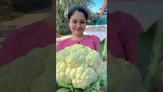 Cauliflower fish 🐟 curry bahut testy🥰sanga mane😅❤️🥰