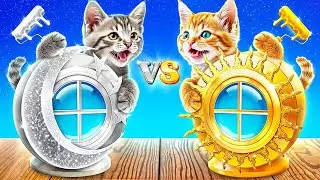 &iexcl;C&oacute;mo Hacer una Habitaci&oacute;n Secreta para Gatitos! &iexcl;Gato de Oro vs Gato de Plata!