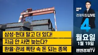 삼성·현대 말고 더 있다! / 지금 안 사면 늦는다? 환율·관세 폭탄 속 돈 되는 종목 [이정호 멘토 | 경제독립 4시 ]