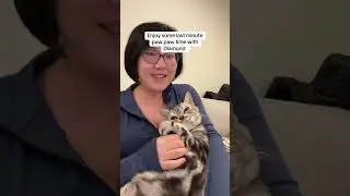 Diamond loves paw paw time #kitten #cats #cat #catlover #catvideos #cutecat #fyp #catshorts #fypシ゚
