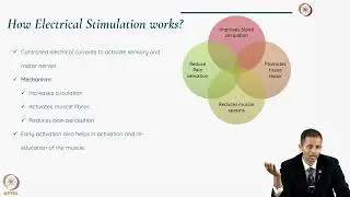 Electrical Stimulation and Ultrasound in Rehabilitation