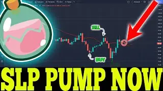 SLP MASSIVE PUMP TODAY !! SMOOTH LOVE POTION PRICE UPDATE