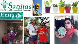 Shopping TOUR to a plant nursery in BOTSWANA | SANITAS ~The green DIAMONDS OF BOTSWANA #Botswanavlog