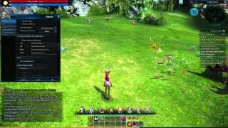 Castanic Sorcerer Gameplay