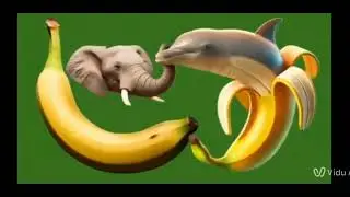 Elefantine bananine VS