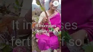 Need to grow Food Naturally