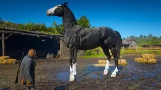 RDR 2 | Arthur Morgan Tames Micah's Horse at Emerald Ranch