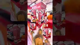 Chennai one day trip #explorepage #viral #trendingvideo #travel #chennai #tirupati #fypシ #cartravels