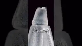 タグの外し方の裏技