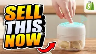 TOP 10 SHOPIFY DROPSHIPPING WINNING PRODUCTS TO SELL RIGHT NOW (November 2020)
