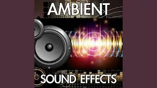 Passenger Train Interior (Version 2) [Riding Moving Inside Ambience Background Noise Soundscape...