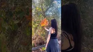 I Found This Giant Leaf and It Changed Everything