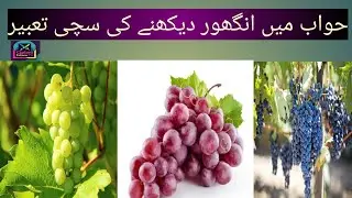 خواب میں انگور دیکھنا کی تعبیر | Khwab Mein Angoor Dekhne Ki Tabeer