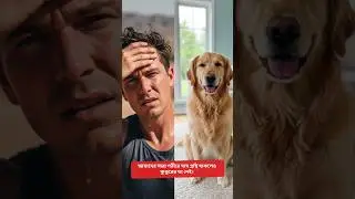 প্রচণ্ড গরমেও কুকুরের শরীর কেন ঘামে না? | The Secret Science Behind Dog Sweating