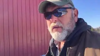 Homestead safety Part One -Large Farm Animals- Bull Safety