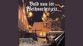 Der Christbaum ist der sch&ouml;nste Baum