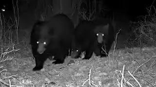 Wildlife Wednesday | April 2, 2025
