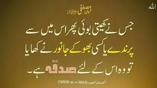 Hadees Shareef | Hadith | Rasool Pak ki Hadees | Hadees Sharif | Hadith | by Barakta 