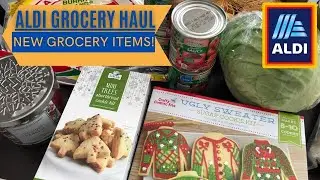 🛒🛒ALDI Grocery Haul | November 2020 | NEW Seasonal Items! 🛒🛒