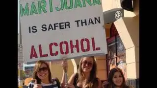 Beer Industry Vs Marijuana Legalization