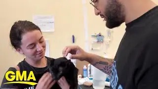 Cat has heartwarming reunion with owner after building collapse | GMA