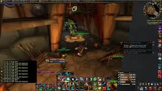Feral Leveling :/ Help ! Follow and watch :) PVP server Faerlina  Mutiny  WoW