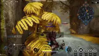 Paragon (Grux tutorial )