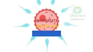Nirich Maca for Fertility