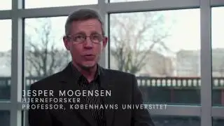 Du Forsvinder   Kan jeg stole p&aring; det jeg oplever?