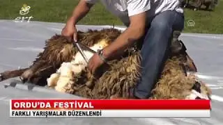 01 TEMMUZ 2017 ERT HABER