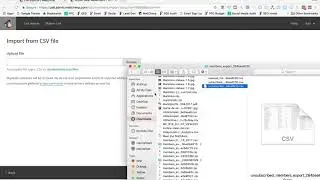 MailChimp List Organization: Import List To Group