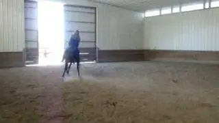 MOV00738