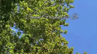Cuan grande es El   Edith Ramos. 🌹🕊