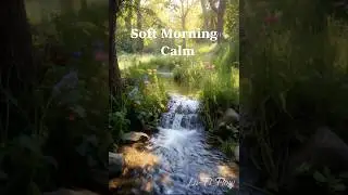 Soft Morning Calm 🌿 Relaxing Nature Sounds & Ambient Piano for Stress Relief, Focus & Sleep