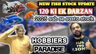 Karachi fish aquarium market || HOBBiERS Paradise saddar fish aquarium market new stock update 🐟🐠