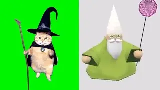 Wizard cat original meme VS Crawly green wizard gnome