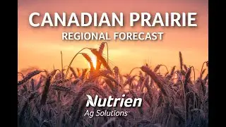Canadian Prairie Ag Forecast - May 1st 2020