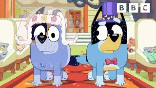 Bluey's Royal Horse Wedding! | CBeebies