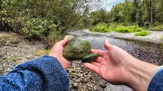 Rockhounding the Cedar River: Hidden Pudding Stones & Rare Jasper in King County, Washington