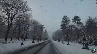 Winter in the Netherlands, January 2026 (De Haelberg, Gelderland) | Iarna &icirc;n Țările de Jos
