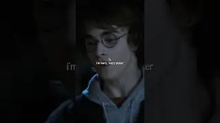 #pov : harry wants the new girl || y/n riddle x #harrypotter
