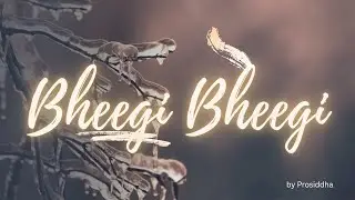 Bheegi Bheegi | Guitar cover | #song, #singing , #hindi