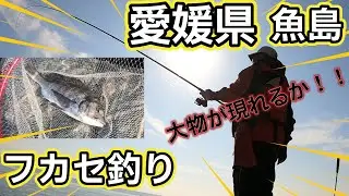 魚島フカセチヌ爆釣なるか！