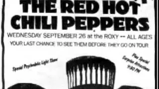 Red Hot Chili Peppers - The Brothers Cup Jam [Live '86]
