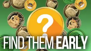 How to find the next 1000x Meme Coin in Detail
