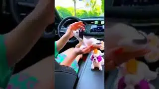 Kamal ke car gejat