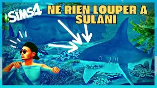 Les évènements et activités de Sulani ! Sims 4