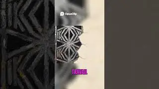 10 Le regard qui bouleverse   un amour interdit au travail  #diff&eacute;rencedage #amourinterdit #tabou