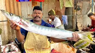 KASIMEDU SPEEDSELVAM БОЛЬШОЙ РАЗМЕР БАРРАКУДА, ВИДЕО НАРЕЗКИ РЫБЫ БАРРАКУДА #kasimeduselvam #fish...